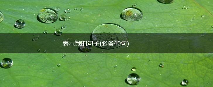 表示饿的句子(必备40句),第1张