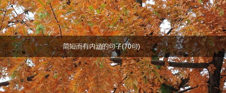 简短而有内涵的句子(70句),第1张