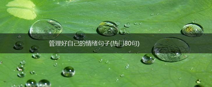 管理好自己的情绪句子(热门80句),第1张