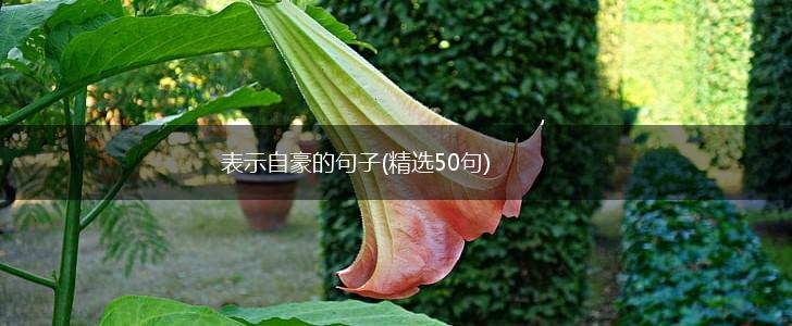表示自豪的句子(精选50句),第1张