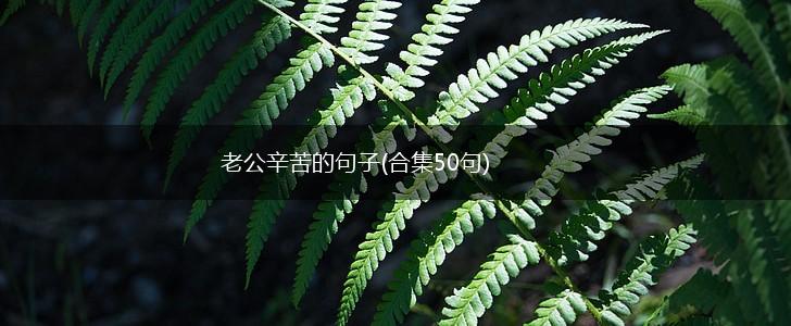 老公辛苦的句子(合集50句),第1张
