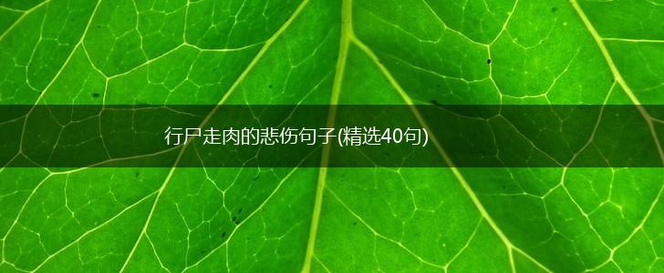 行尸走肉的悲伤句子(精选40句),第1张