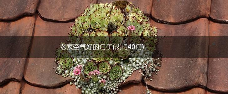 老家空气好的句子(热门40句),第1张