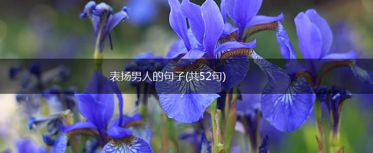表扬男人的句子(共52句),第1张