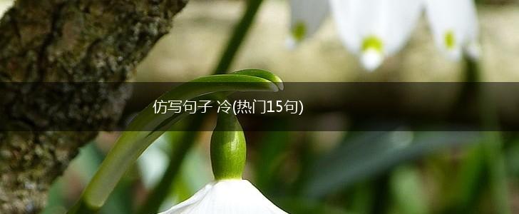 仿写句子 冷(热门15句),第1张