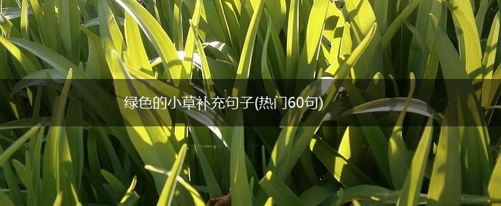 绿色的小草补充句子(热门60句),第1张
