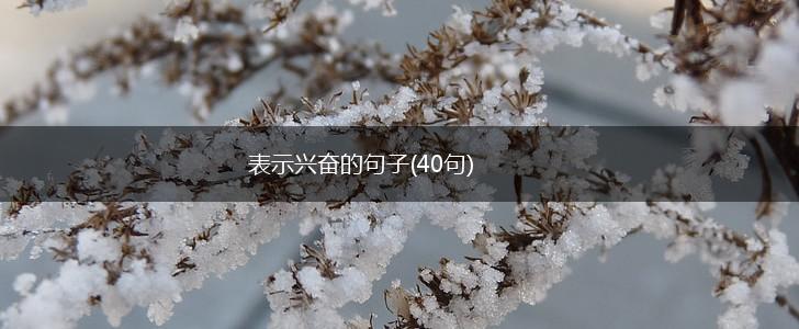 表示兴奋的句子(40句),第1张