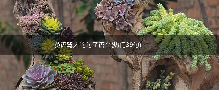 英语骂人的句子语音(热门39句),第1张