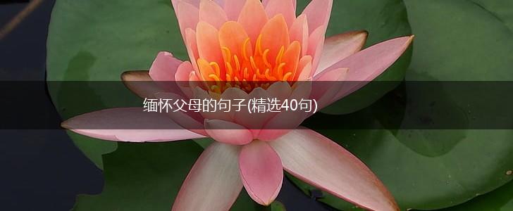 缅怀父母的句子(精选40句),第1张