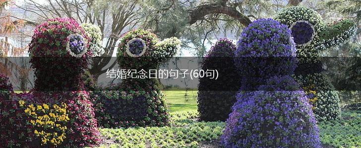 结婚纪念日的句子(60句),第1张