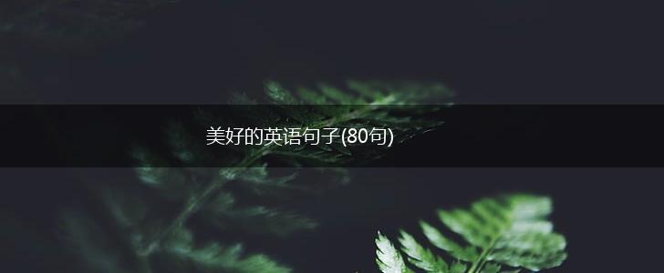 美好的英语句子(80句),第1张