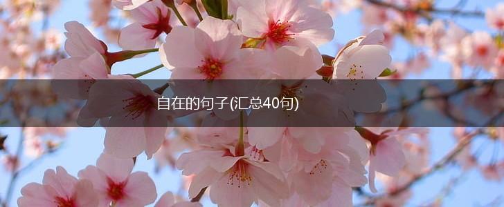 自在的句子(汇总40句),第1张