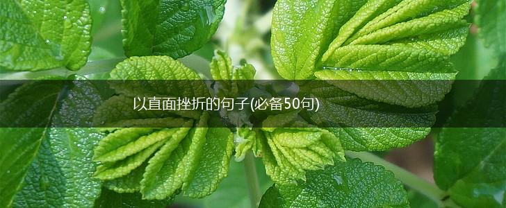 以直面挫折的句子(必备50句),第1张