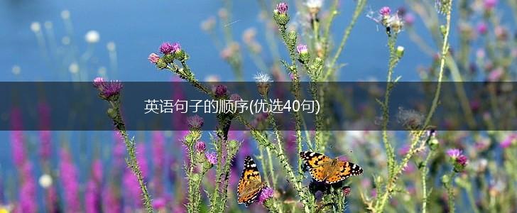 英语句子的顺序(优选40句),第1张