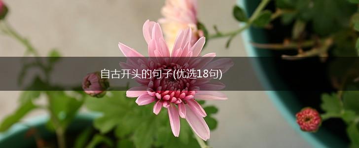 自古开头的句子(优选18句),第1张