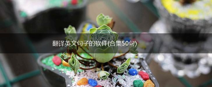 翻译英文句子的软件(合集50句),第1张