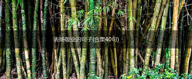 表扬敬业的句子(合集40句),第1张