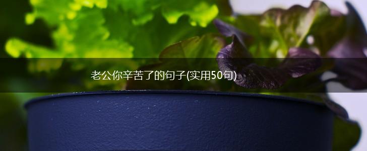 老公你辛苦了的句子(实用50句),第1张