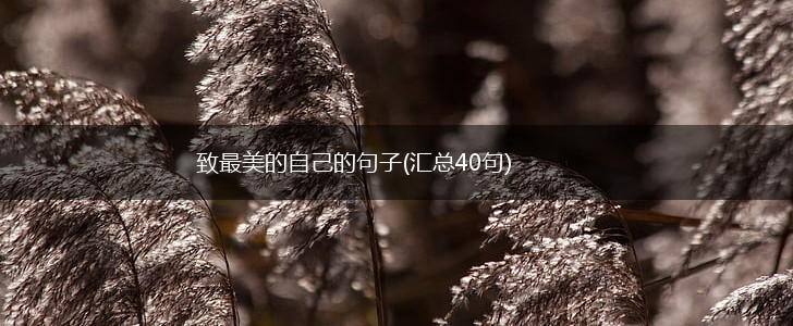 致最美的自己的句子(汇总40句),第1张