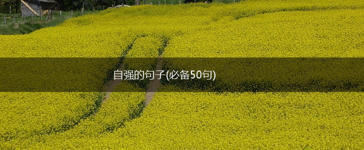 自强的句子(必备50句),第1张
