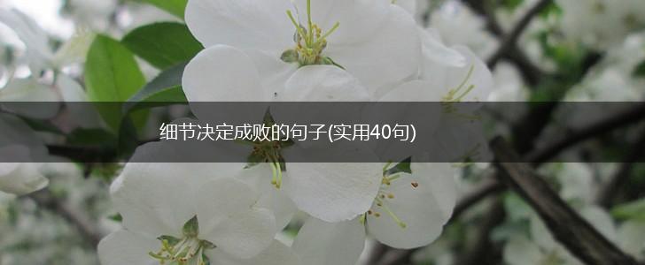 细节决定成败的句子(实用40句),第1张