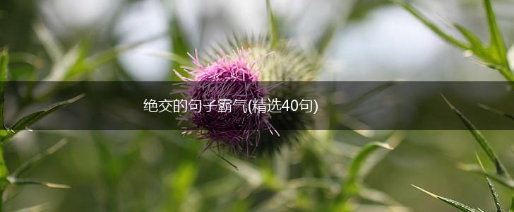 绝交的句子霸气(精选40句),第1张