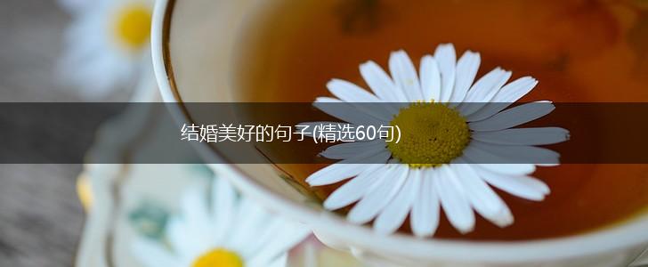 结婚美好的句子(精选60句),第1张
