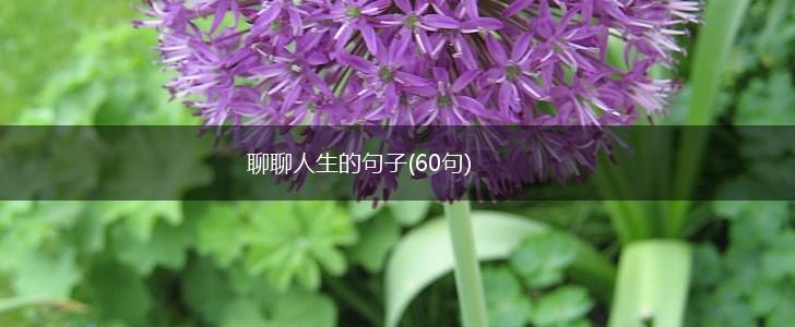 聊聊人生的句子(60句),第1张