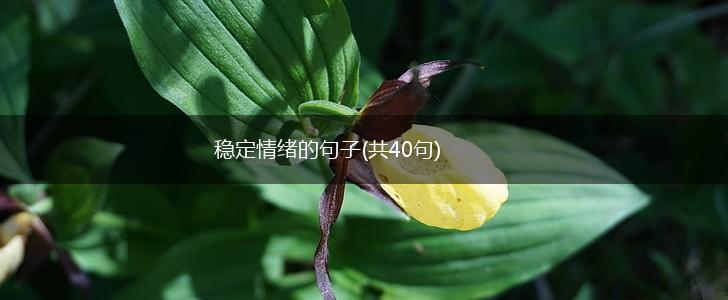 稳定情绪的句子(共40句),第1张