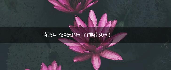 荷塘月色通感的句子(推荐50句),第1张
