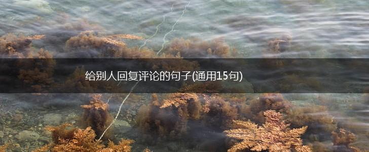 给别人回复评论的句子(通用15句),第1张