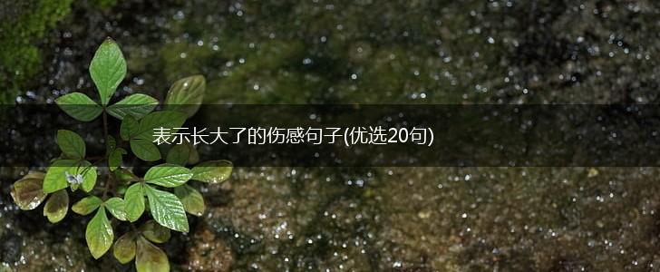表示长大了的伤感句子(优选20句),第1张