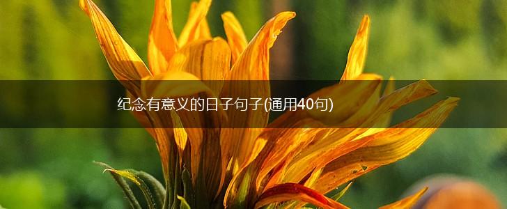 纪念有意义的日子句子(通用40句),第1张