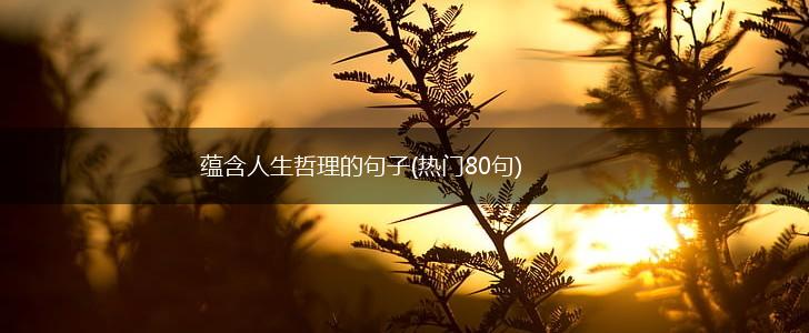 蕴含人生哲理的句子(热门80句),第1张