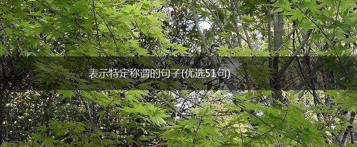 表示特定称谓的句子(优选51句),第1张