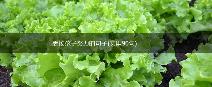 表扬孩子努力的句子(实用90句),第1张