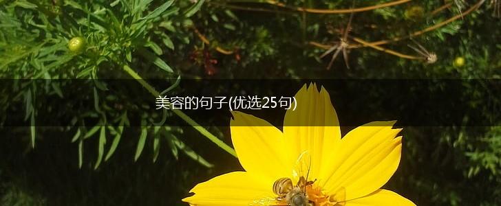 美容的句子(优选25句),第1张