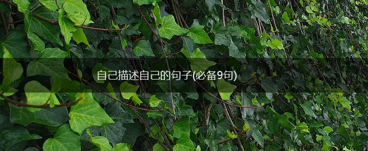 自己描述自己的句子(必备9句),第1张