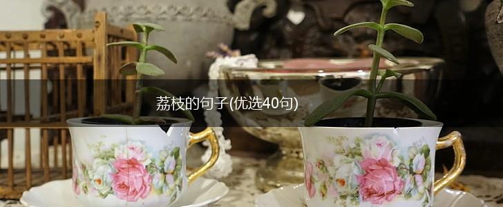 荔枝的句子(优选40句),第1张