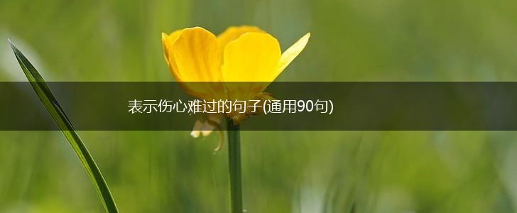 表示伤心难过的句子(通用90句),第1张