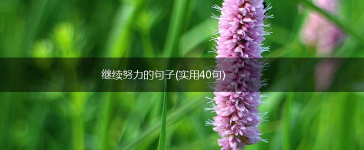 继续努力的句子(实用40句),第1张
