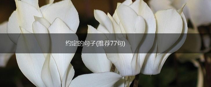 约定的句子(推荐77句),第1张