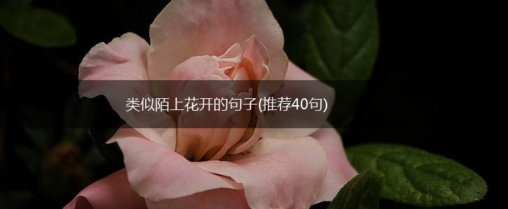 类似陌上花开的句子(推荐40句),第1张
