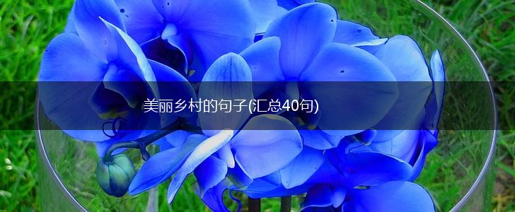 美丽乡村的句子(汇总40句),第1张
