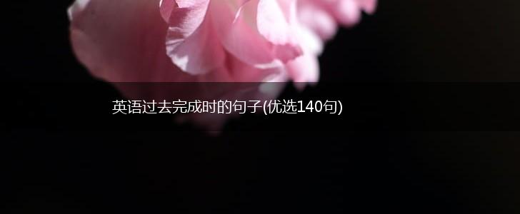 英语过去完成时的句子(优选140句),第1张