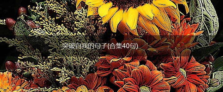 突破自我的句子(合集40句),第1张
