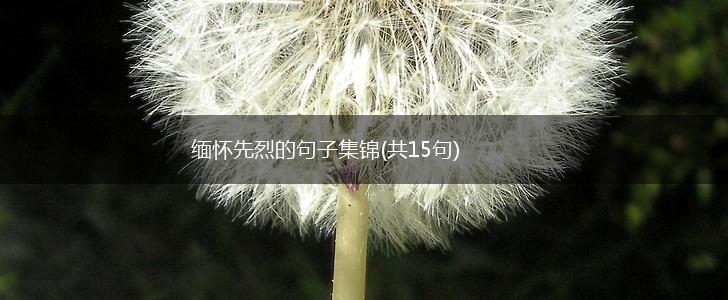缅怀先烈的句子集锦(共15句),第1张