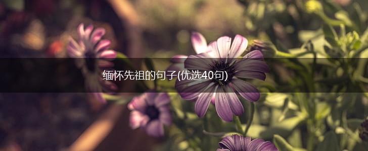 缅怀先祖的句子(优选40句),第1张