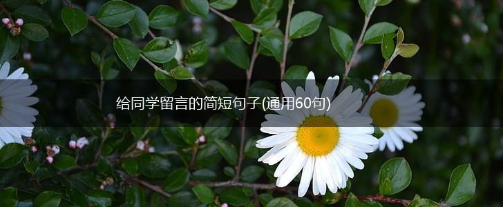 给同学留言的简短句子(通用60句),第1张