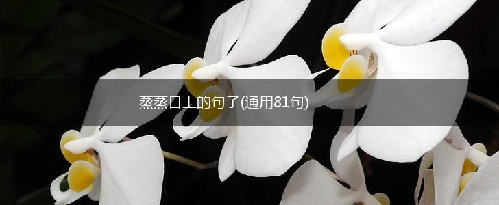 蒸蒸日上的句子(通用81句),第1张